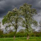 Vor dem Regen