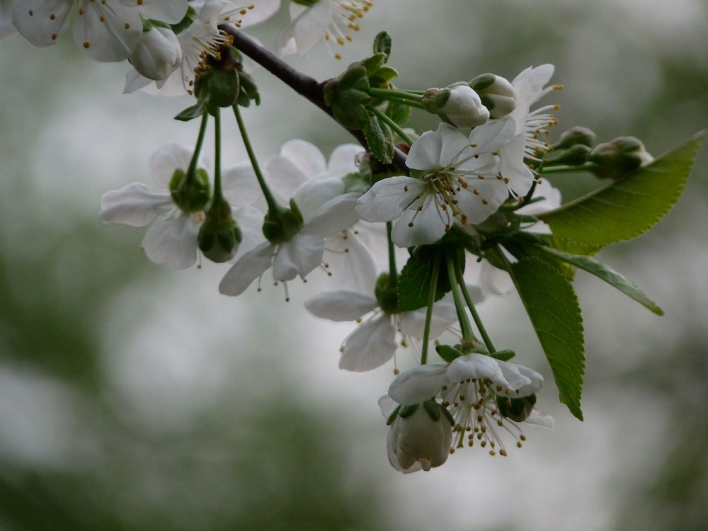 vor dem Regen