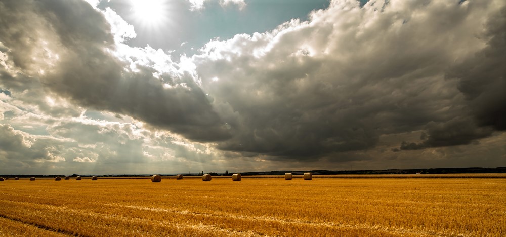 Vor dem Regen