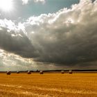 Vor dem Regen