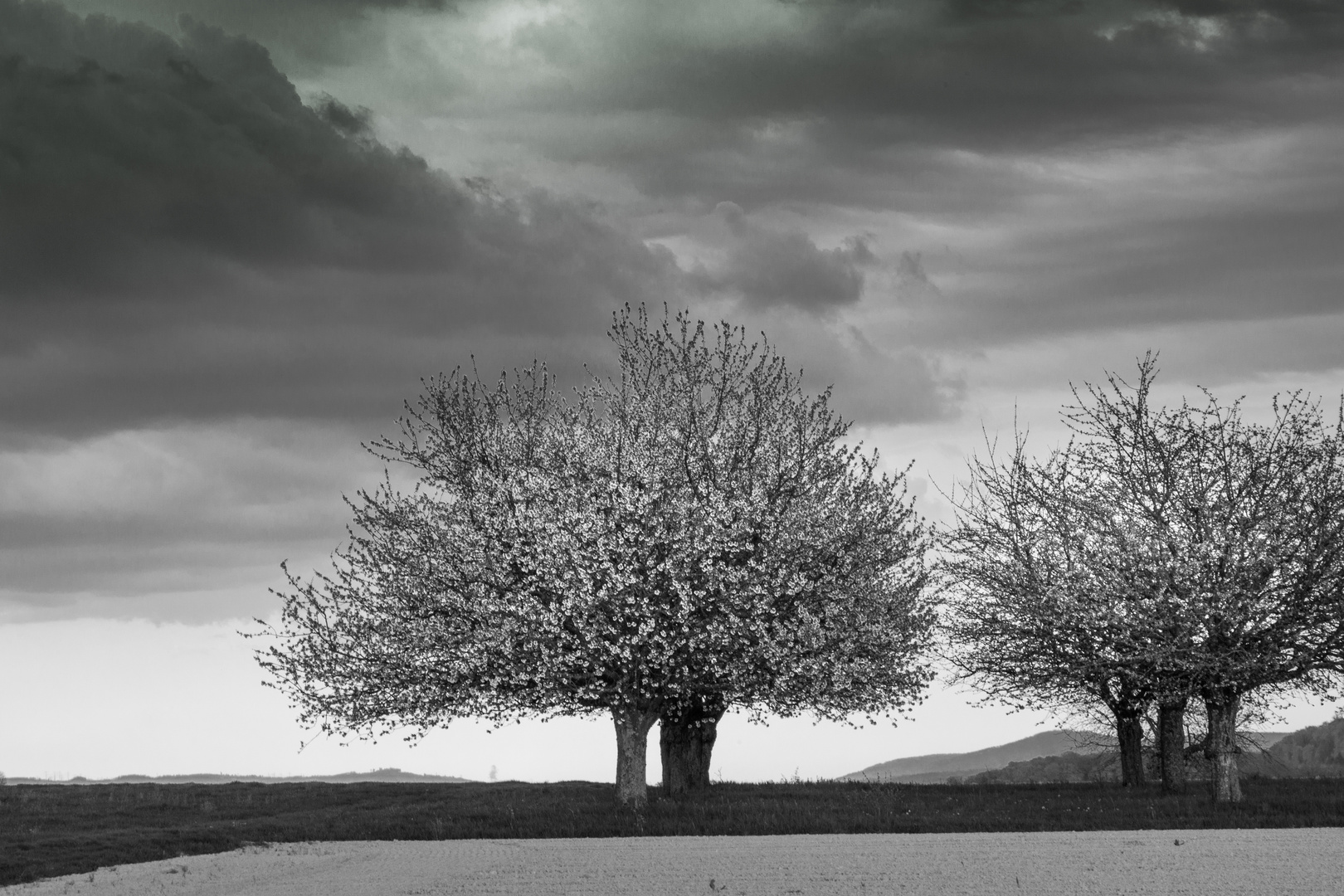 vor dem Regen 2-3382