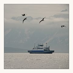 vor dem Regen (2)