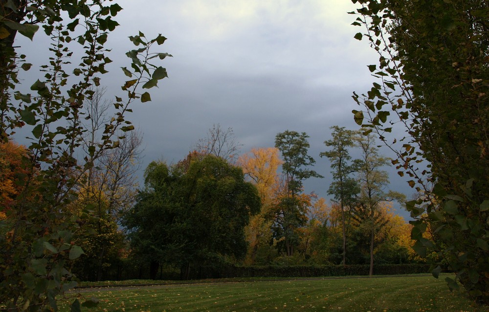 Vor dem Regen...