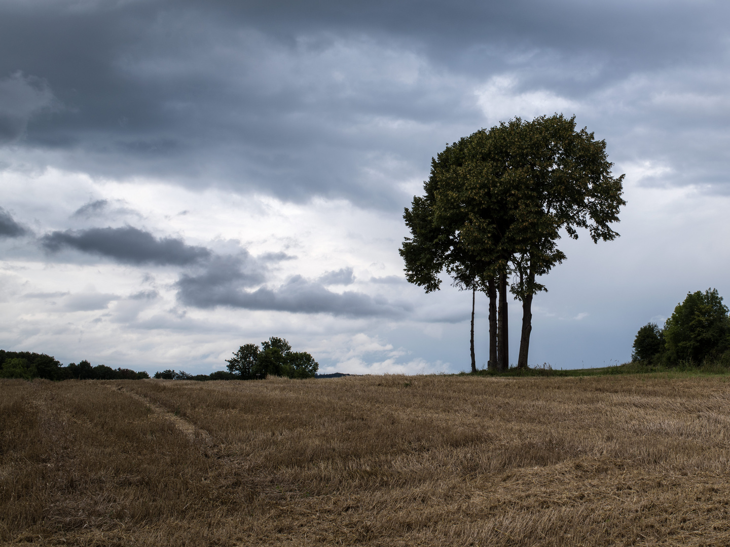 vor dem Regen