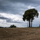 vor dem Regen