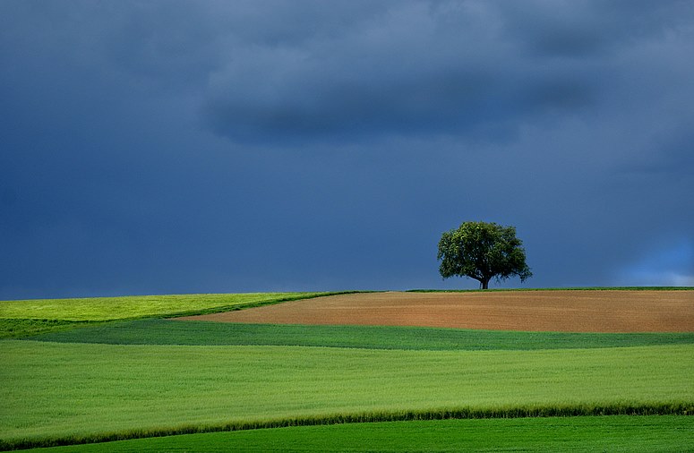 Vor dem Regen