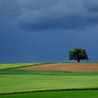 Vor dem Regen