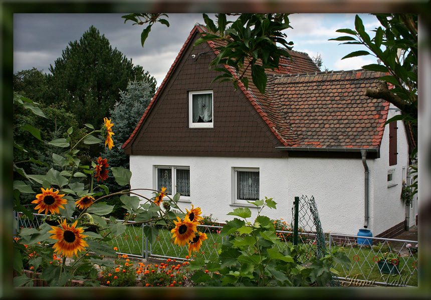 Vor dem Regen