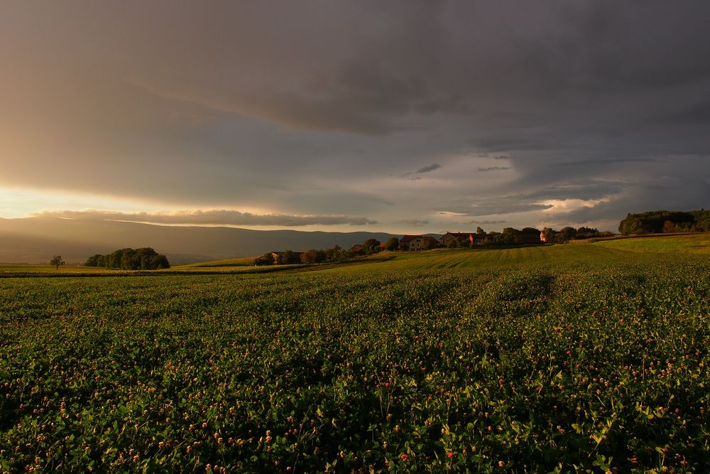 Vor dem Regen