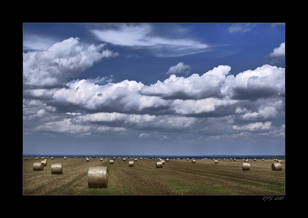 ... vor dem Regen ...