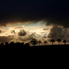 Vor dem Regen