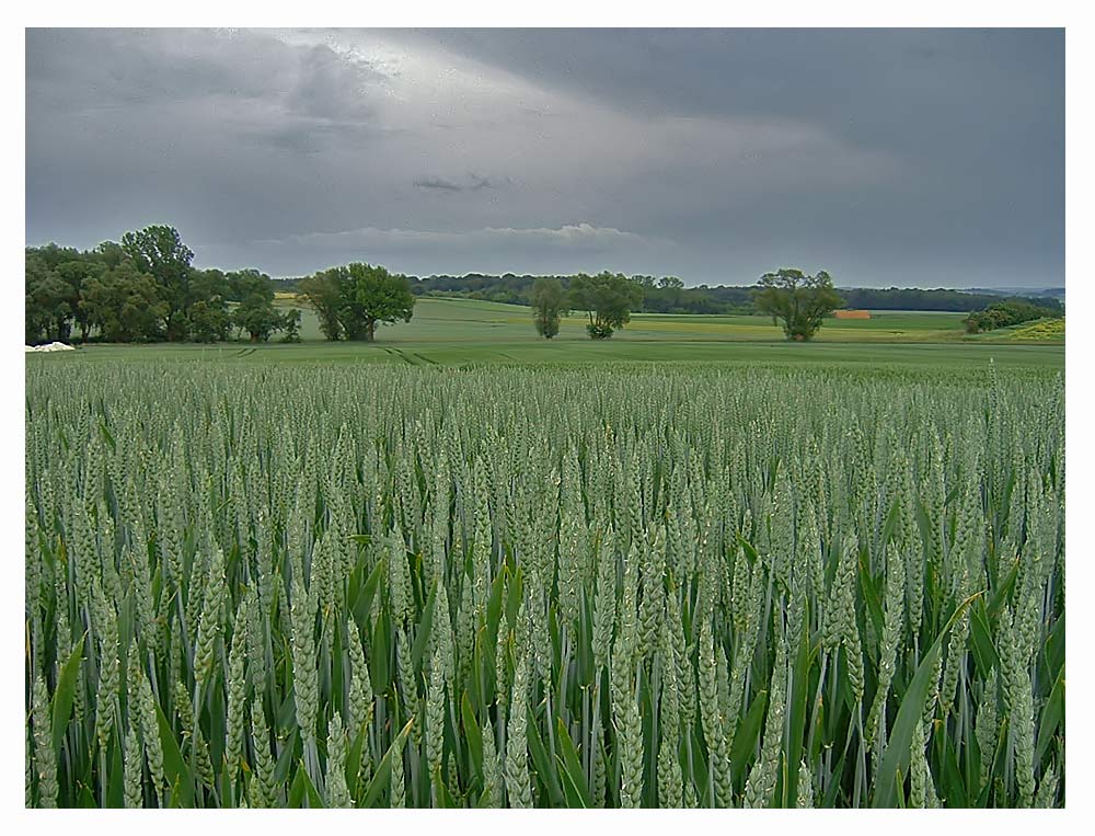 Vor dem Regen