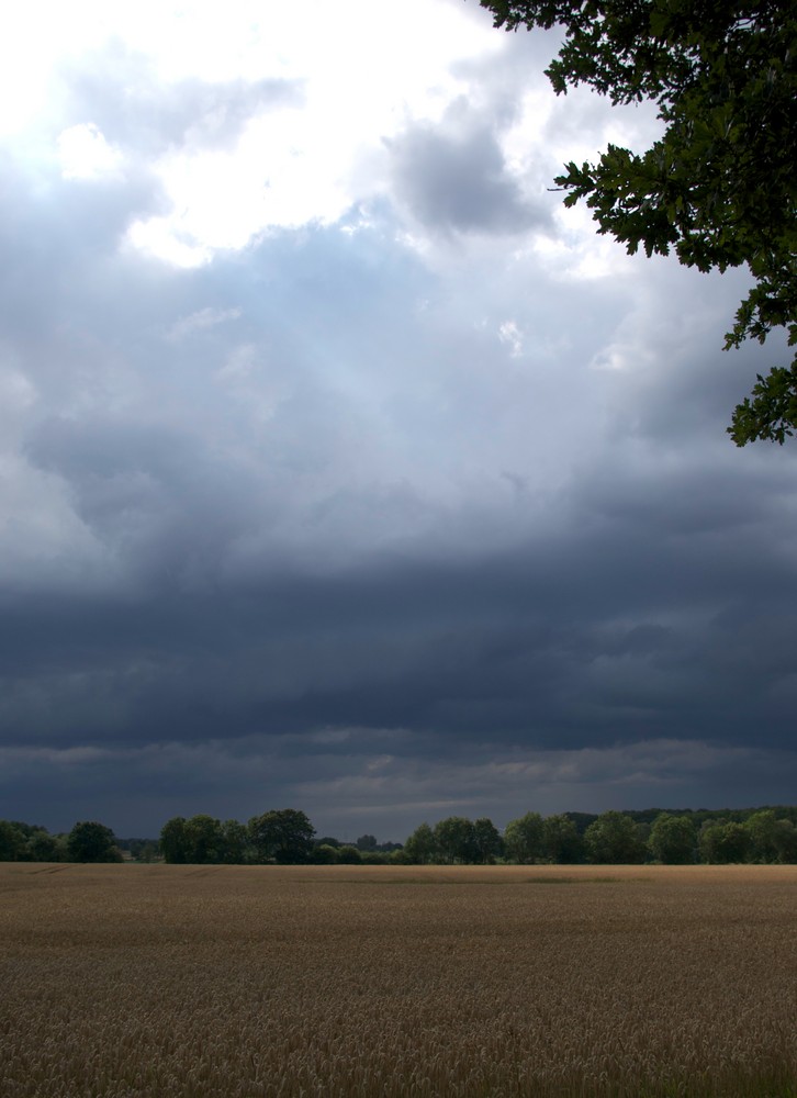 Vor dem Regen