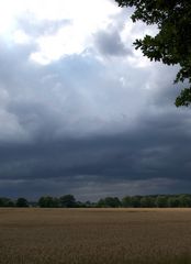 Vor dem Regen