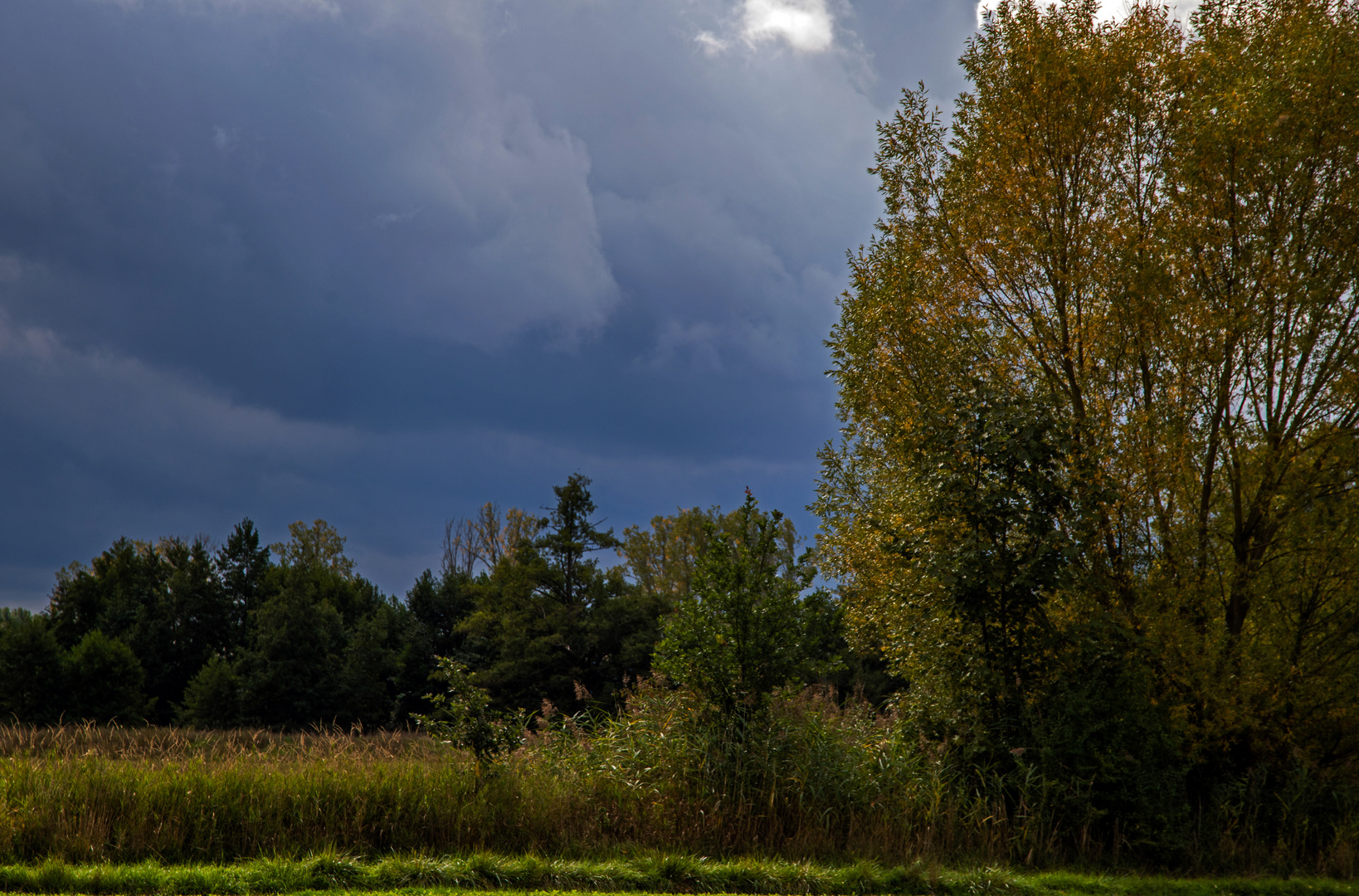 Vor dem Regen