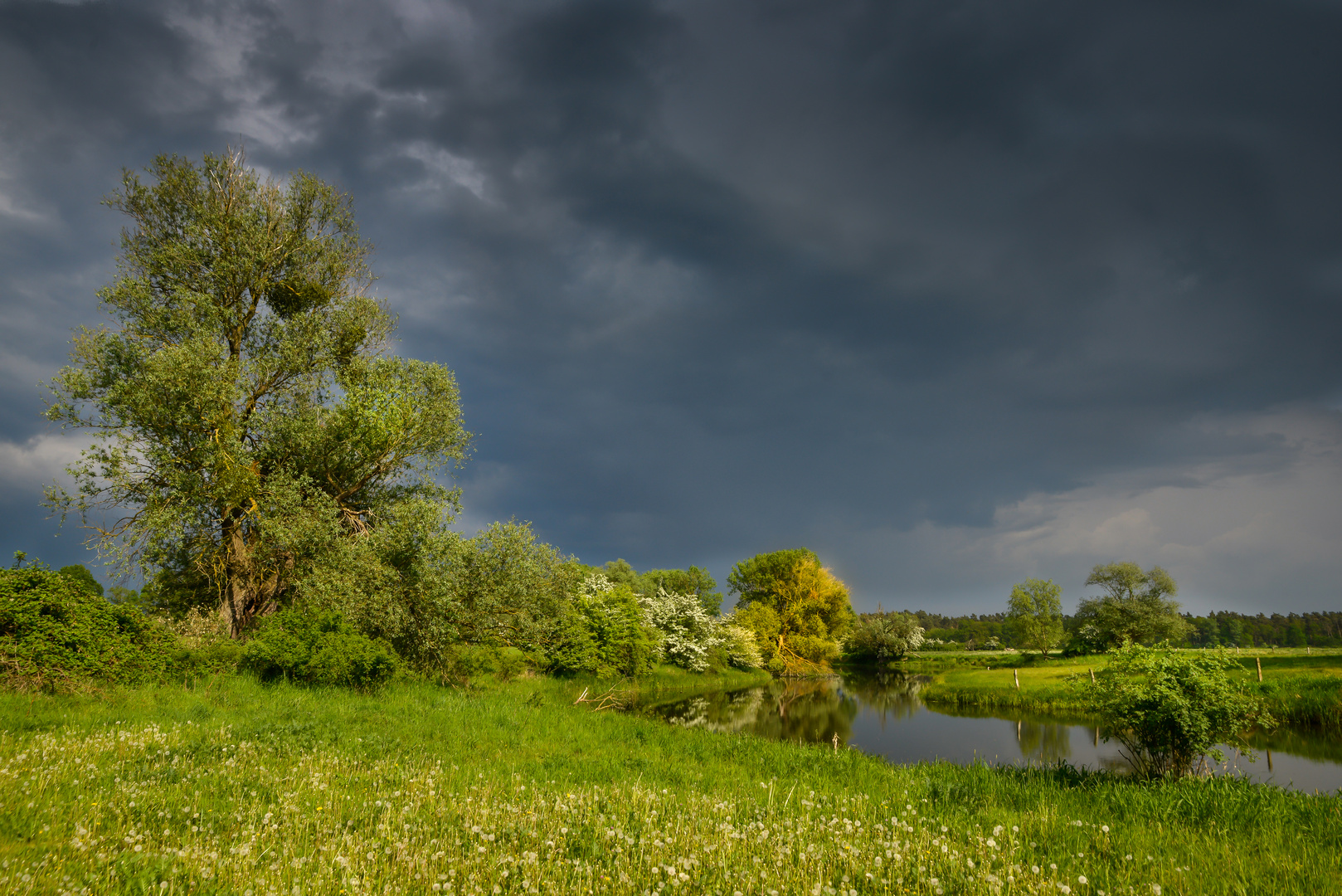 Vor dem Regen