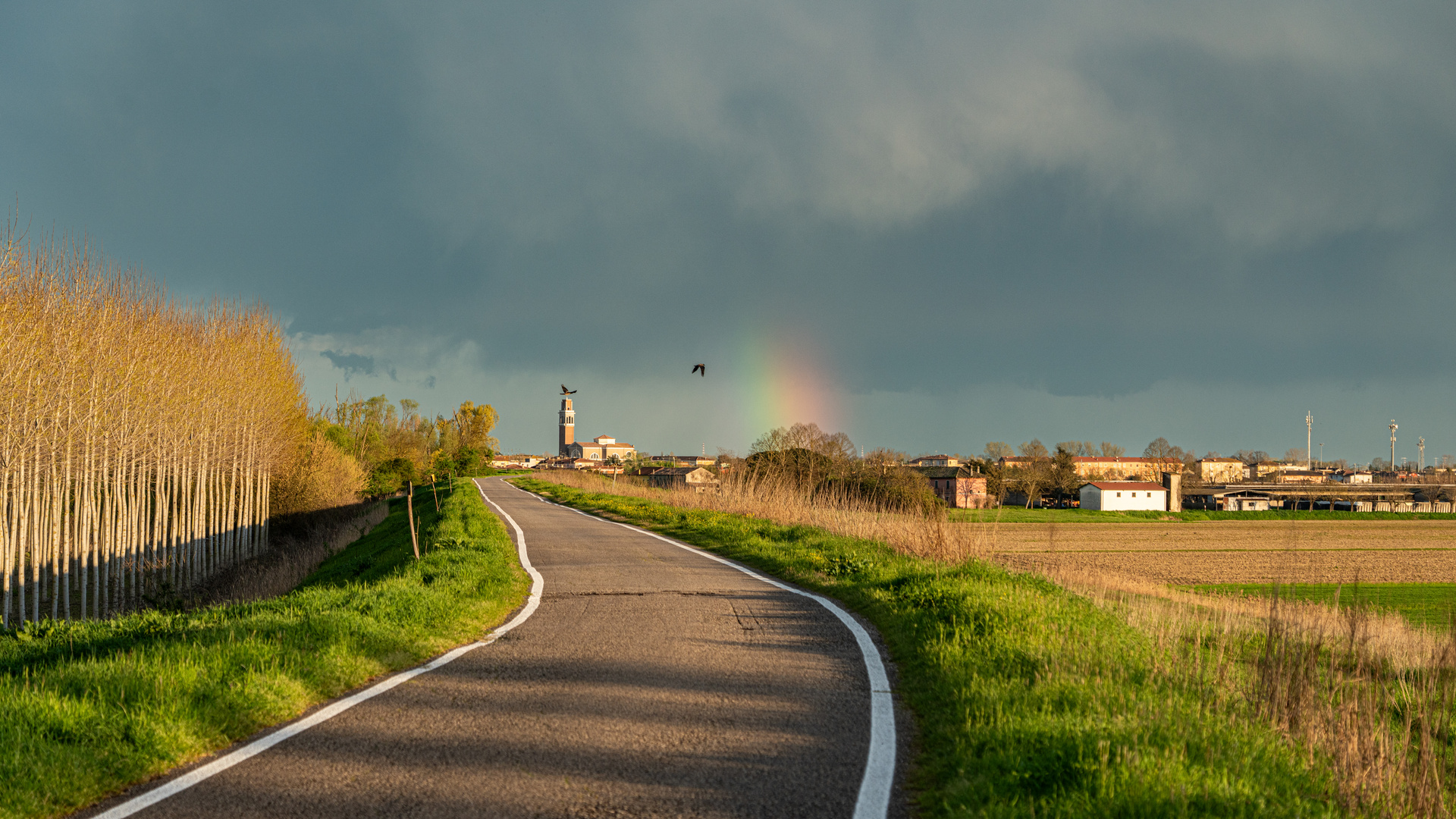 Vor dem Regen