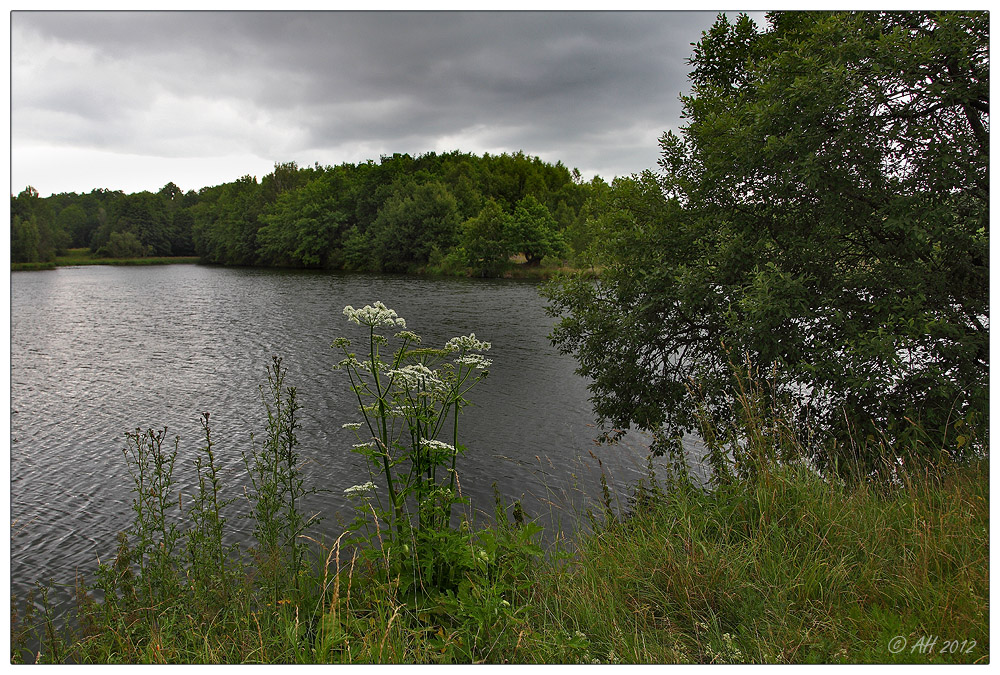 Vor dem Regen