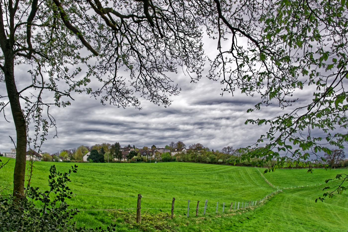 Vor dem Regen