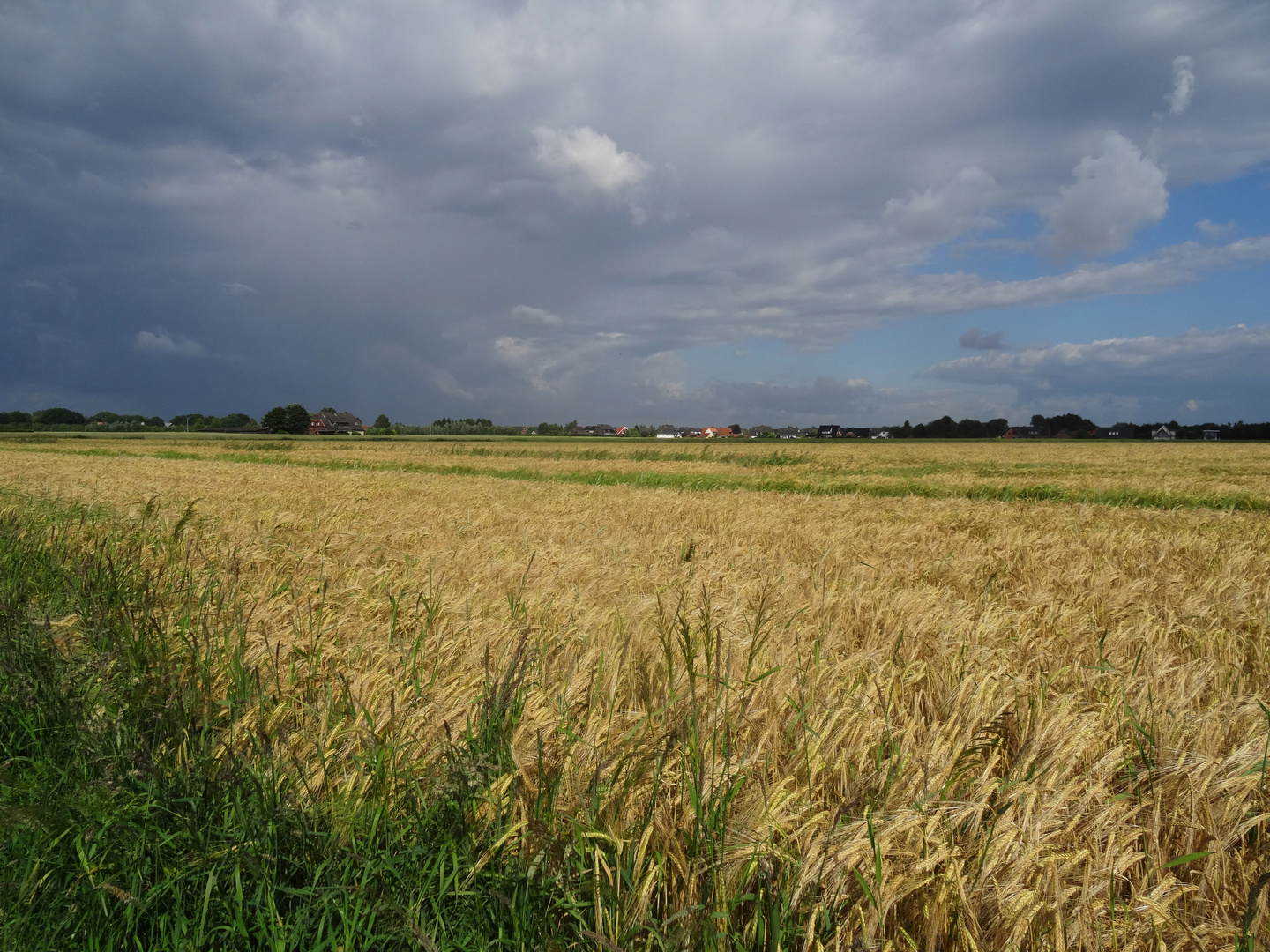 vor dem Regen