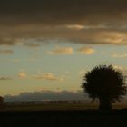 Vor dem Regen