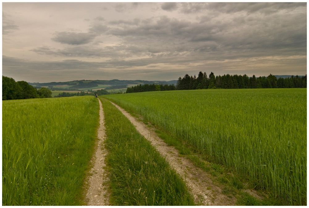 vor dem Regen