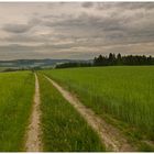 vor dem Regen