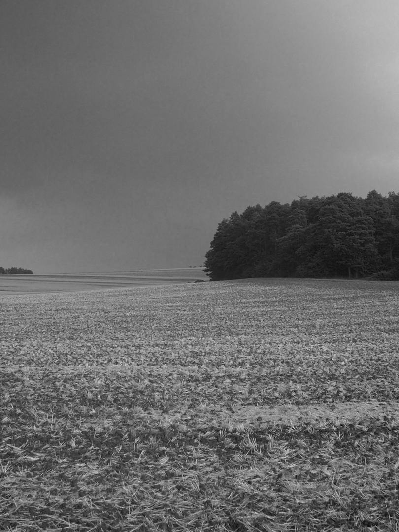 Vor dem Regen