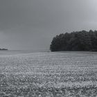 Vor dem Regen