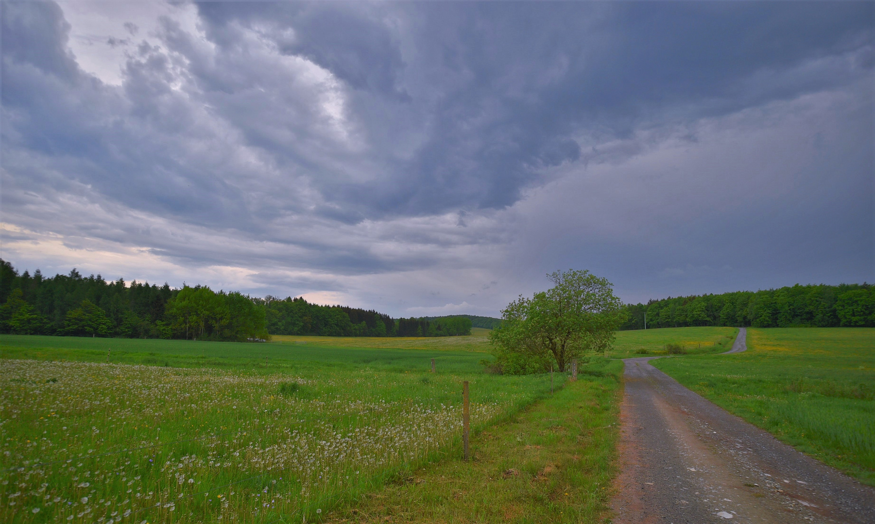 vor dem Regen