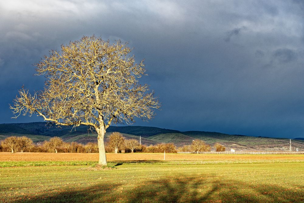 vor dem Regen