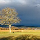 vor dem Regen