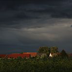 Vor dem Regen.