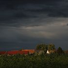 Vor dem Regen.