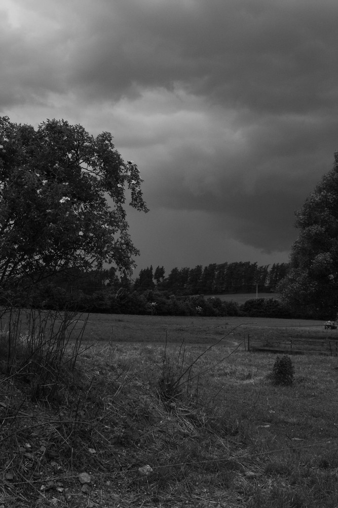 Vor dem Regen