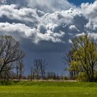 Vor dem Regen