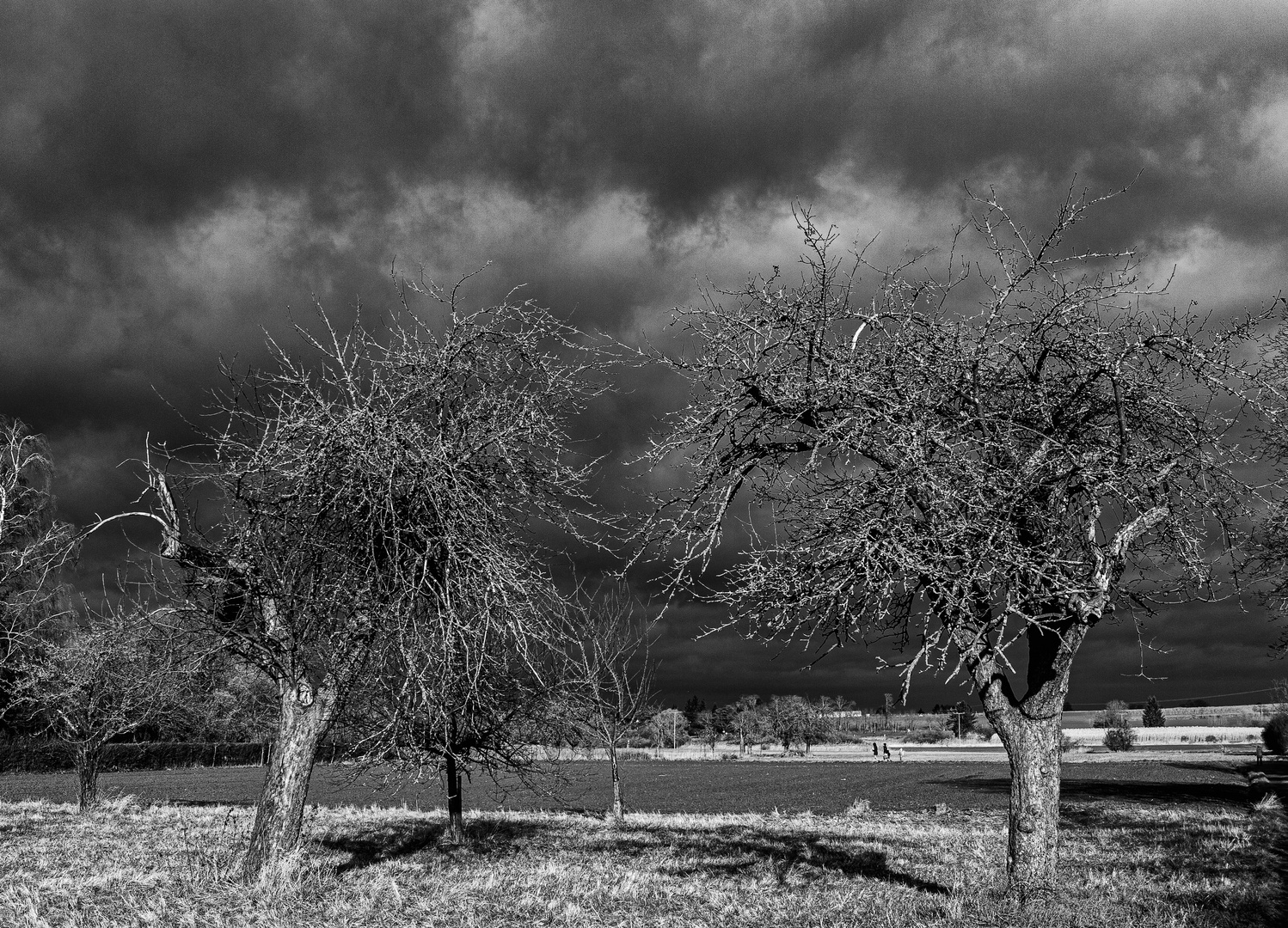 Vor dem Regen