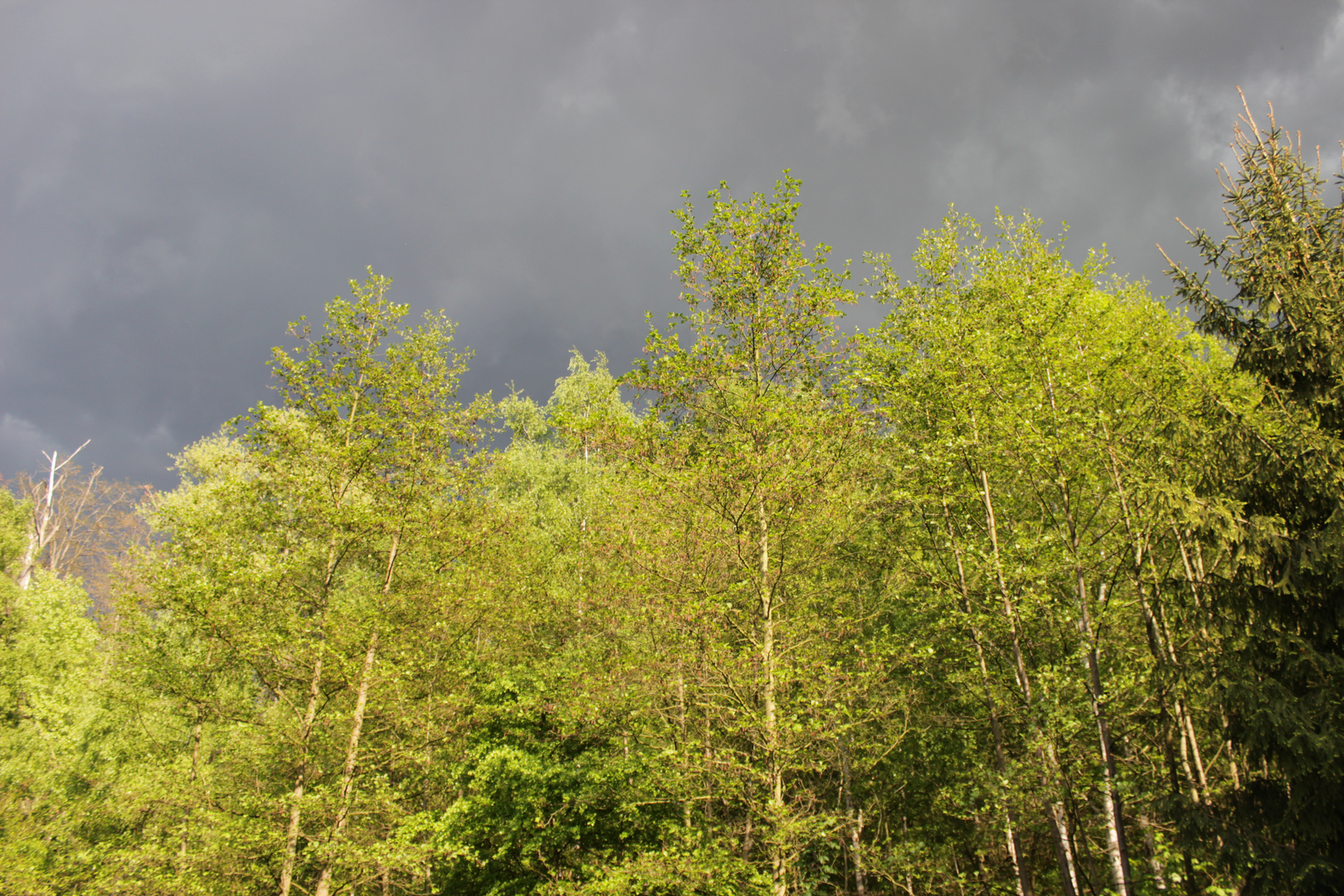 Vor dem Regen ...