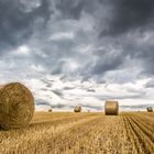 Vor dem Regen