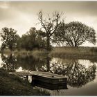 Vor dem Regen