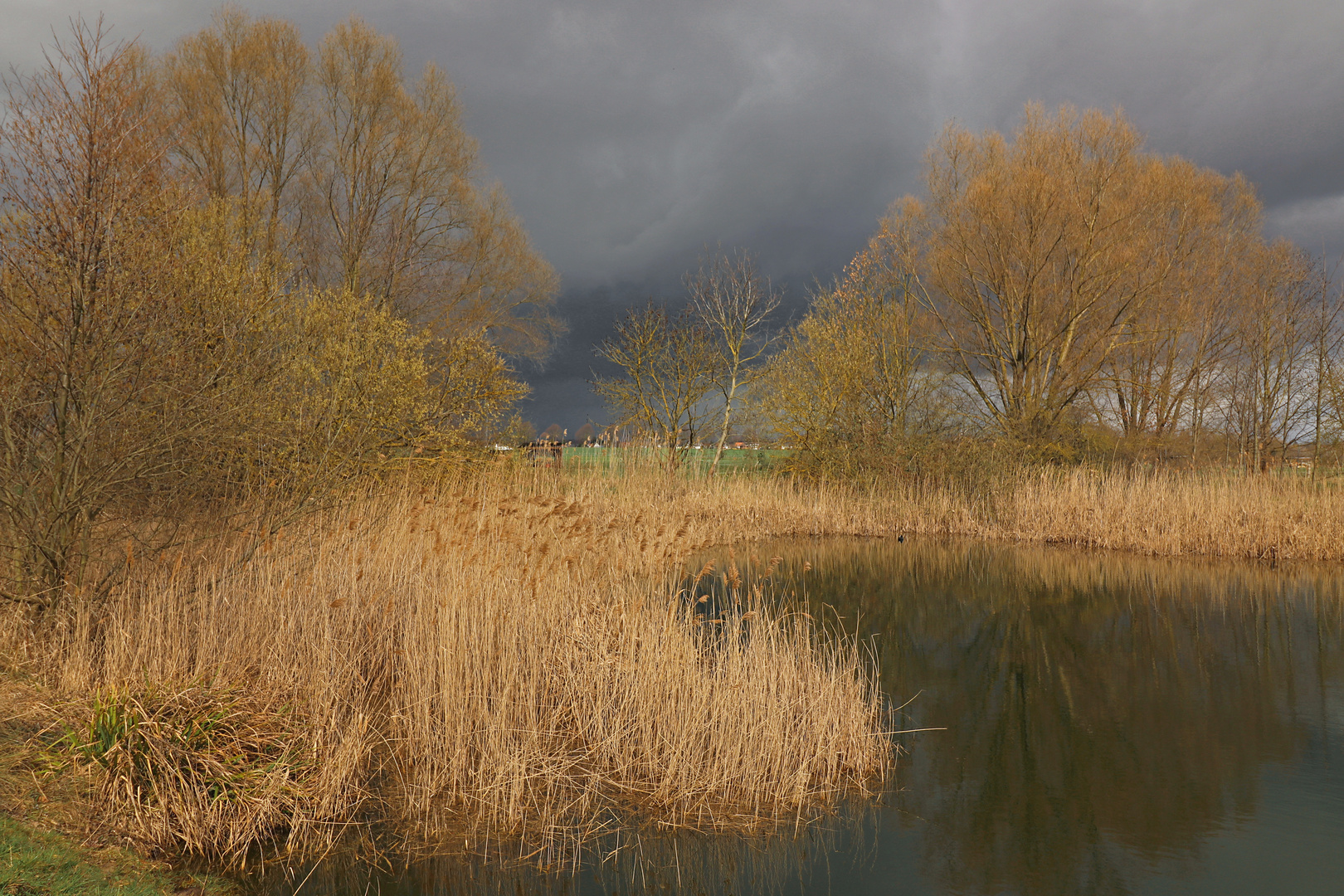 Vor dem Regen