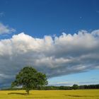 Vor dem Regen