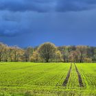 vor dem Regen