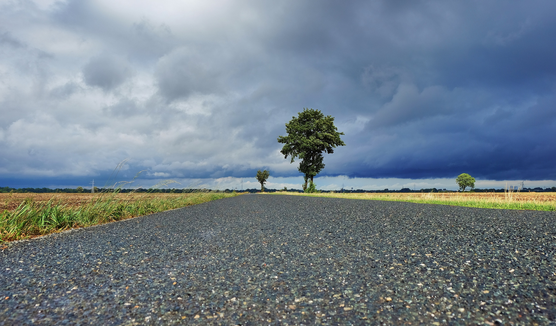 Vor dem Regen