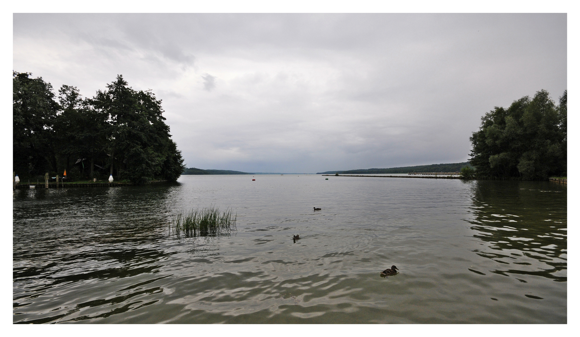 vor dem Regen