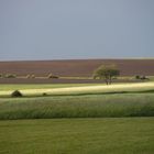 vor dem Regen