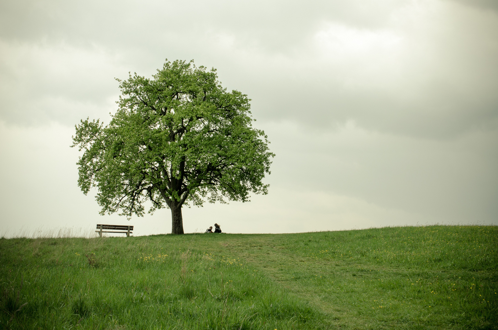 Vor dem Regen