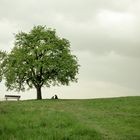 Vor dem Regen