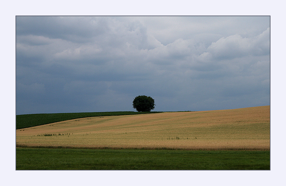 Vor dem Regen...