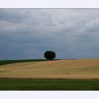 Vor dem Regen...